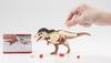 MegaHouse Disassembly Puzzle Science Tyrannosaurus Rex Restoration Puzzle