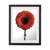 Umbra Photo Certificate Photo Photo Small Document Wall Umbra Black Frame, A4, Frame, Display, Art, Frame, Hanging, 30x37.5cm, DOCUMENT, 2316280040,