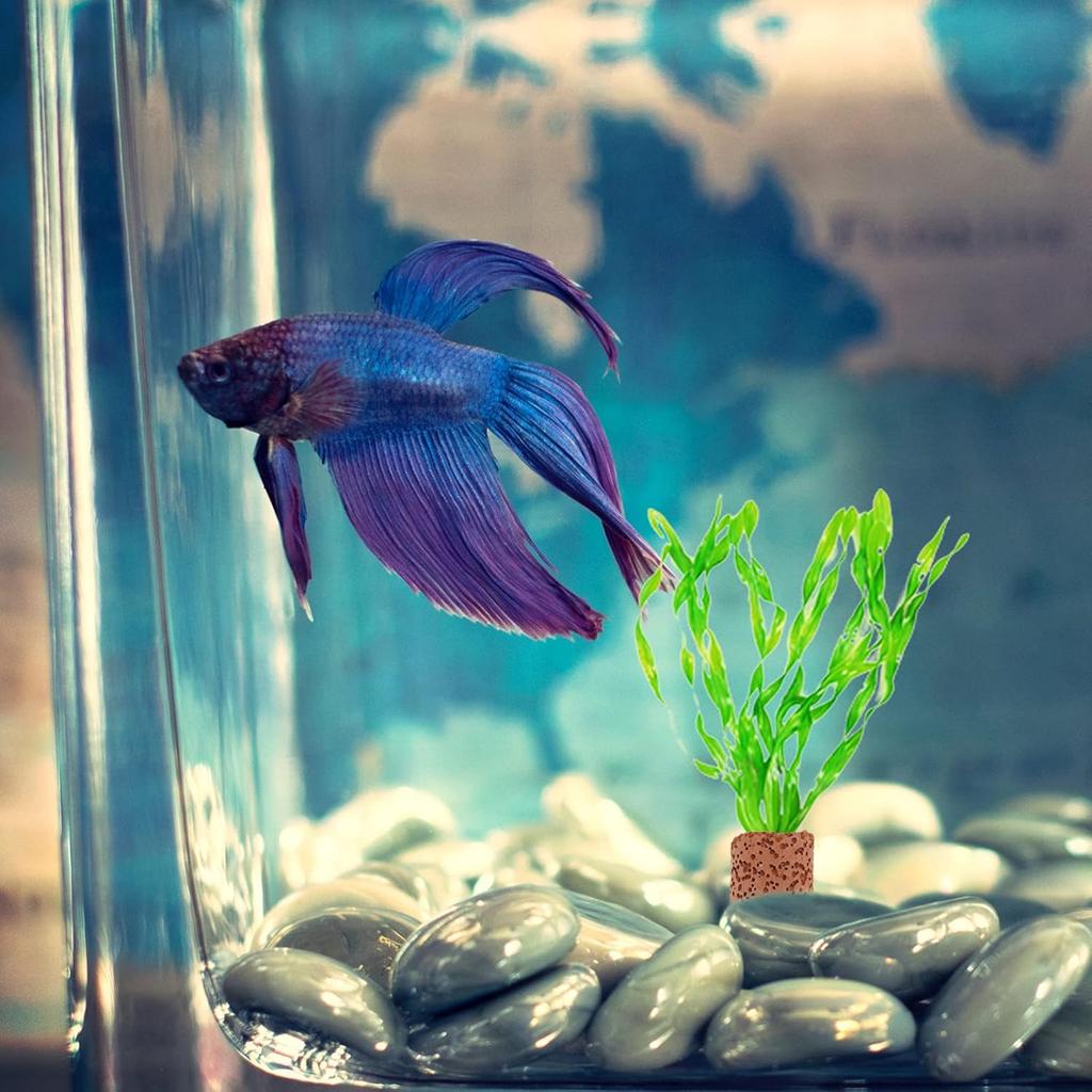 Iplusmile 10 Adet Akvaryum İçin Su Bitkisi Sabitleme Halkası Su Bitkileri İçin Seramik Tutucu Akvaryum Bitki Sabitleme Halkası