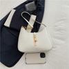 Today's popular niche design small bags women's spring new trendy messenger bags fashionable shoulder bags underarm bags
