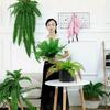 2Pcs Artificial Boston Fern Fake Ferns 20 Leaves for Each Bouquet Fake Fern Bush Plant Lifelike 21 Inch for Office Garden Decor