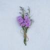 Mini Dried Flower Bouquet for DIY Decoration and Gift Accessories