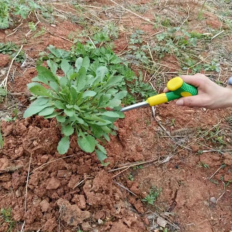 Heavy-Duty Stainless Steel Garden Shovel with Ergonomic Handle & Sharp Edges - Multi-Functional Tool for Planting, Digging, Loosening Soil