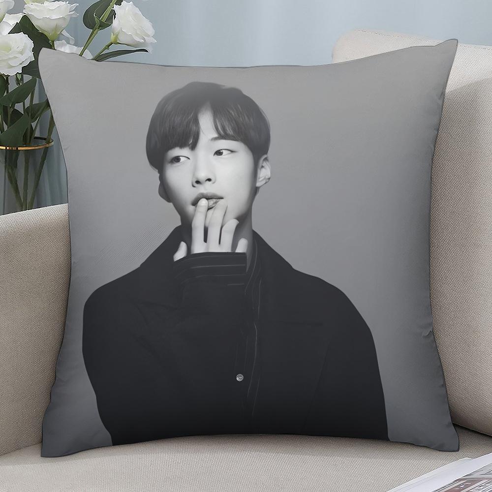 

W-Woo Do H-Hwan Pillow Case Short Plush Pillow Covers Sofa Decorative Gift Home Double-sided Printing Cushion Cover 16x16Inch