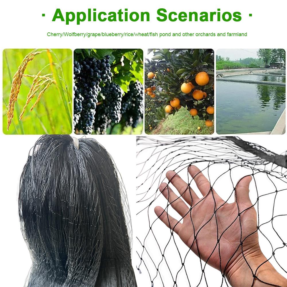 Nylon Bird Net Anti Bird Catcher Netting Pond Fruit Tree Flower Garden Mesh Protective Chicken Coop Pest Control Tool Fishing Ne