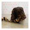 Doggyman Cowhide Rope Toy Bones X 2