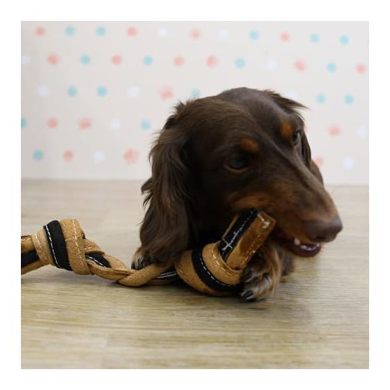Doggyman Cowhide Rope Toy Bones X 2