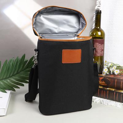 Insulated Wine Bag 2 Bottle Wine Carrier Leakproof Wine Cooler Bag Thermal