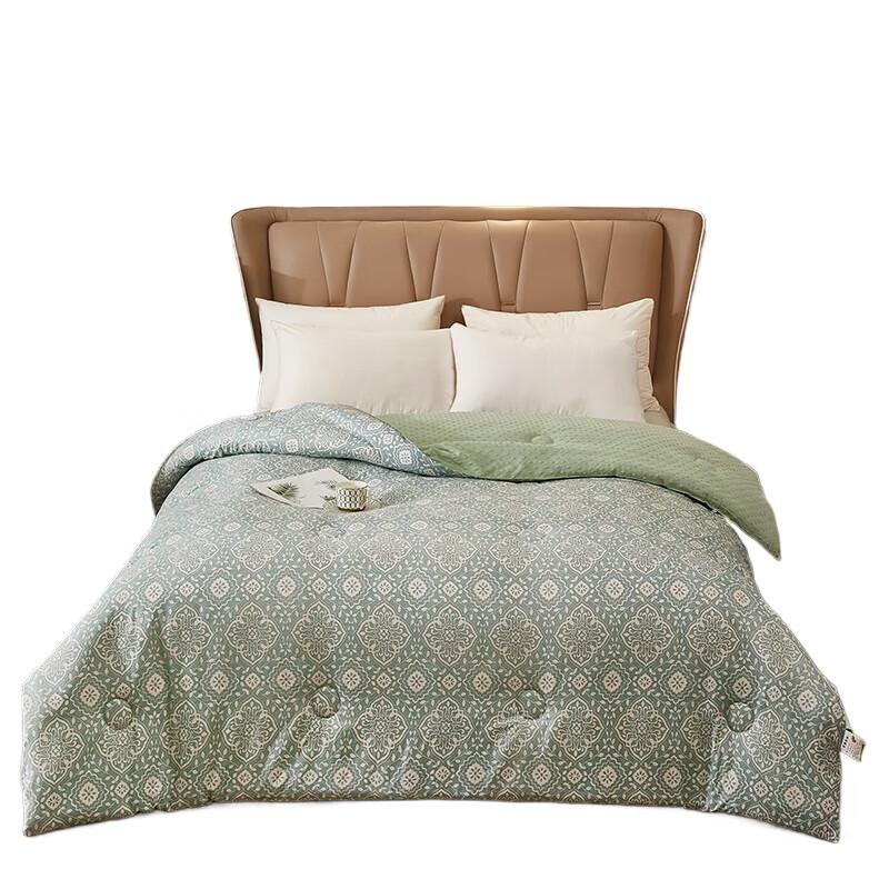 

Good Sleep & Dream 3D Beanworm Wormwood Quilt