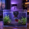 Hideout for Betta Xmas Aquarium Hideout, Shrimp Cave Shelter, Christmas Stocking Fish Tank Landscaping Hide, Halloween Bat Tanks