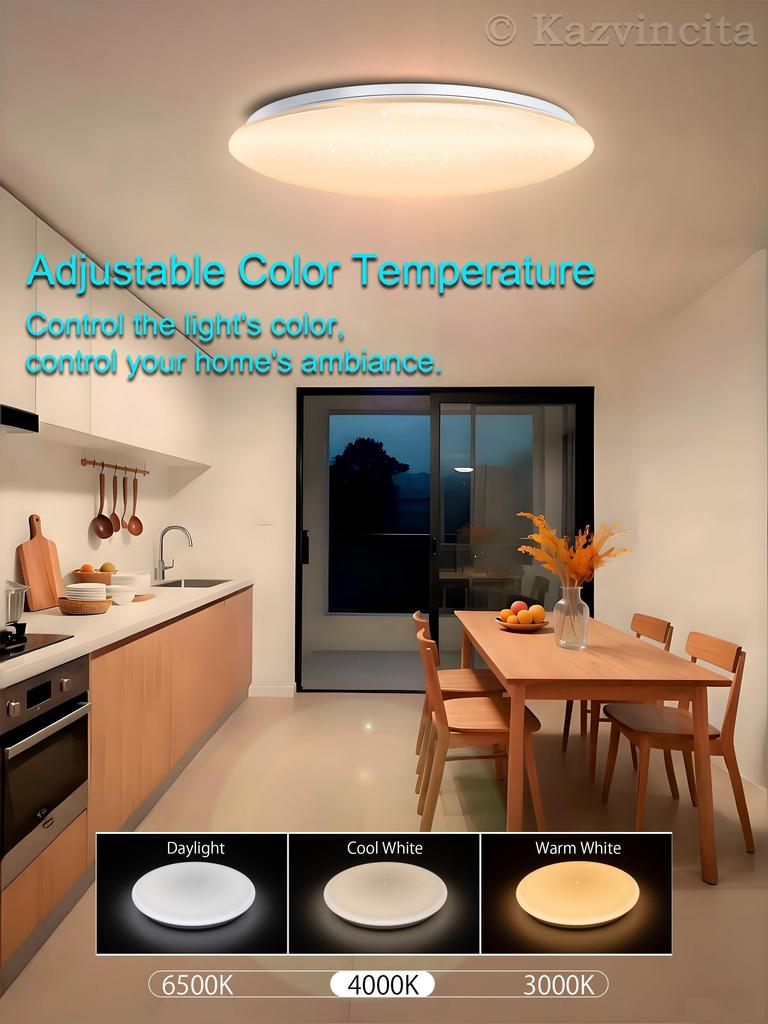 Chysongoods 50cm 55W LED Deckenleuchte Dimmbar & Farbtemperatur Einstellbar RGB Ambiente Integrierter Bluetooth-Lautsprecher Alexa Kompatibel für den Innenbereich