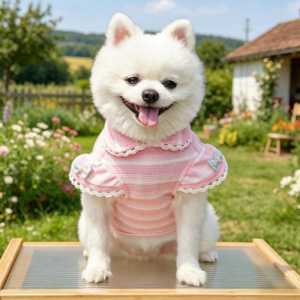 Stripe Design Dog Lace Knit Vest Ruffle Sleeves Dog T-Shirt Cute Pet Hoodie Daily Wear