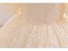 2025 New High-End Princess Dress for Girls - Formal Wear & Performance Clothing
