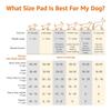 Pet Pee Pads for Potty Training| Standard | Regular 56 X 56cms | 50 Pieces | Leak-Proof Quick Dry Design, 5-Layer Design,