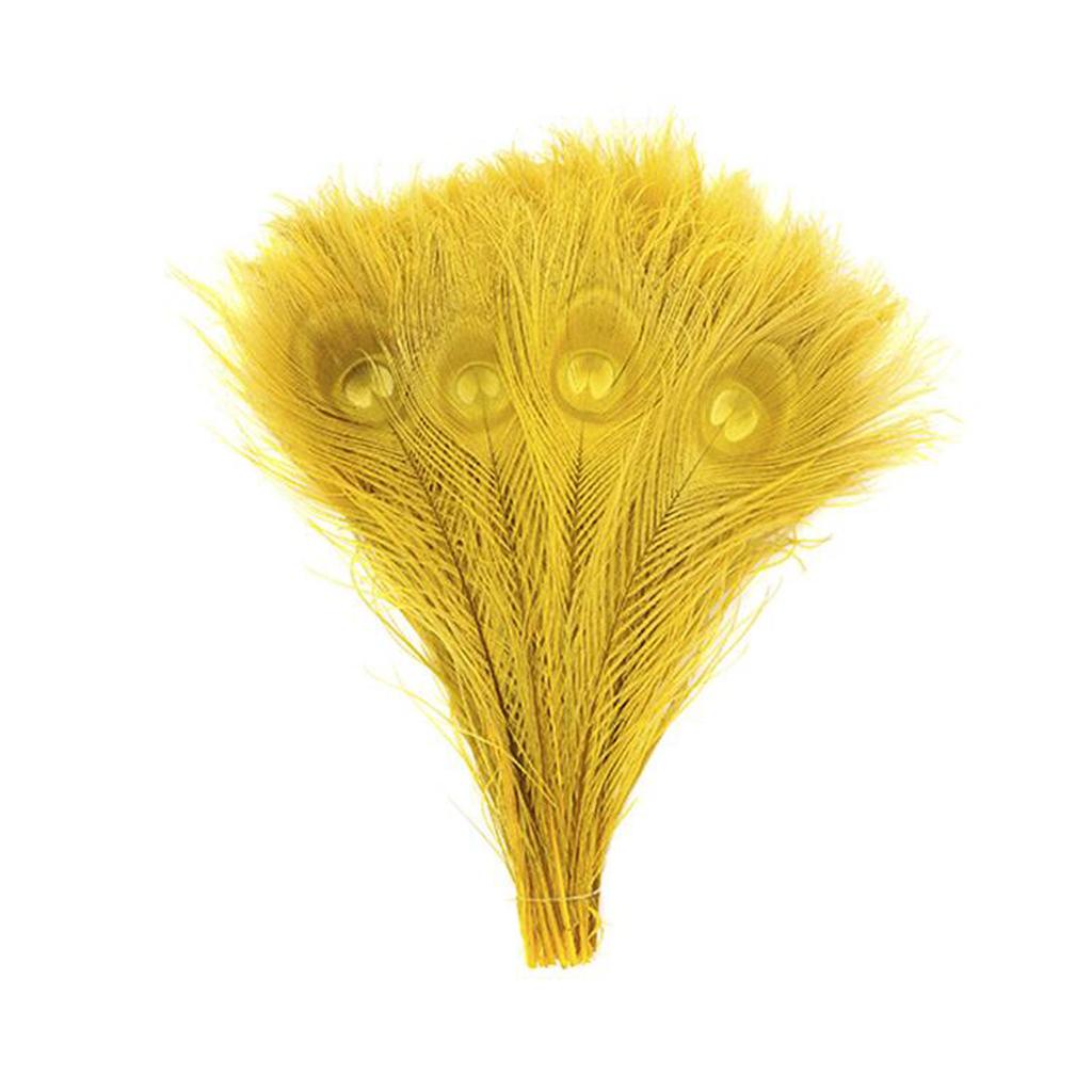 FeatherYellow Feathers for Crafts, 31 Styles Natural Pheasant, Rooster, Duck Feathers Bulk for Costume DIY, Fly Tying,Party Decoration
