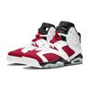 Jordan 6 Retro Carmine Countdown Pack 2008 GS 384665-160