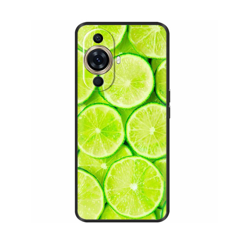 For Hauwei NOVA 11 Pro Case Cat Lion Painted Phone Case For Huawei Nova 11 Ultra Nova11 Pro 11Pro 11i Silicone Back Cover Fundas