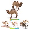 Desert Animal Pvc Figurine Twin Hump Camel Static Decor For Children Learning Play