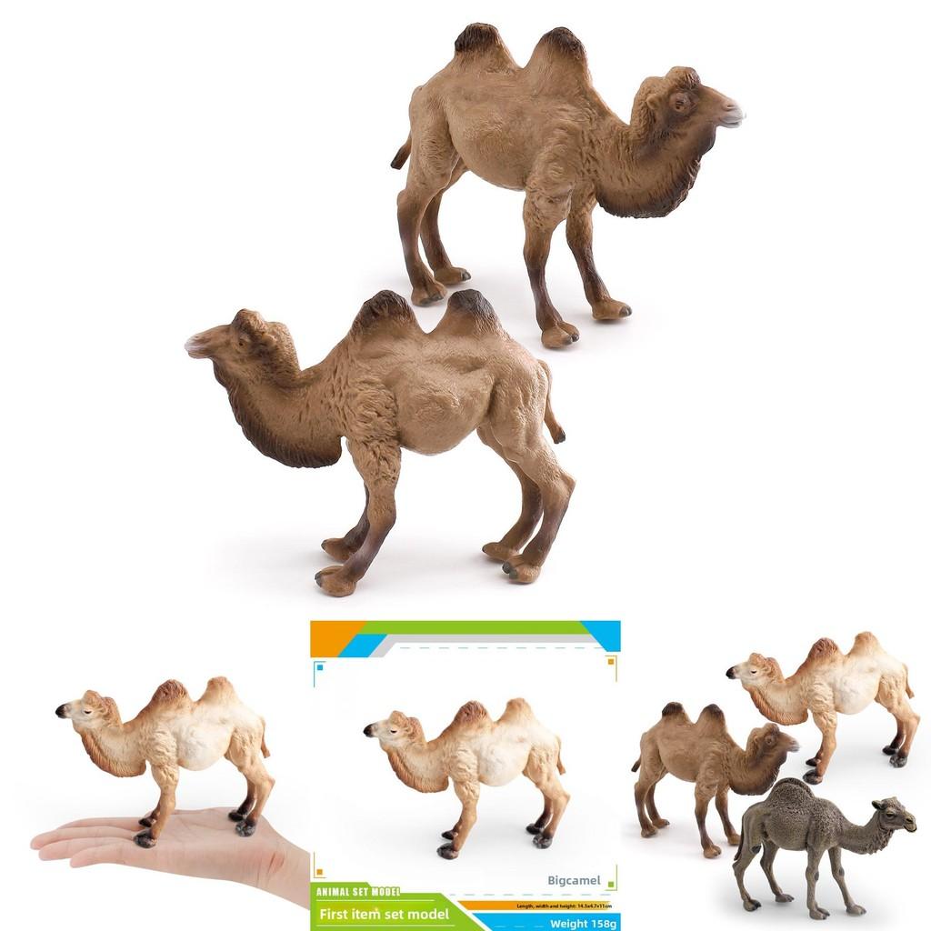 Desert Animal Pvc Figurine Twin Hump Camel Static Decor For Children Learning Play
