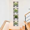 New 4PCS Tropical Green Plants Potted Plant Wall Stickers for Bedroom, Living Room, Entrance, Home Wall Decoration Stickers