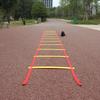 Sports Agility Training Ladder