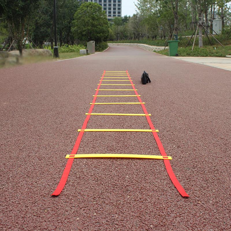 Sports Agility Training Ladder