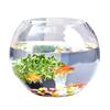 Jialei Dezhu Transparent Round Glass Fish Tank & Turtle Aquarium for Desktop Living Room