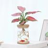 Transparenter Blumentopf Hydroponischer automatischer Wasseraufnahme-Blumentopf aus Kunststoff