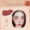 Novo Silky Matte Lip Glaze 5622 - High Pigment, Non-Drying, Lightweight, with Lip Brush