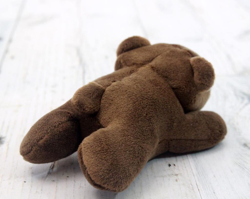 Take Off Pokepuni Brown Bear