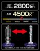 Kashimura NNB-205 HID Burner, 12V-24V, compatible with both D2R and D2S