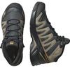 Полуботинки Salomon X-Adventure Recon Mid GTX