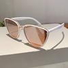 Casual Vintage Cat Eye Sunglasses Coated UV400 Sun Glasses Trendy Gradient Lens Protective Eyewear for Women & Men