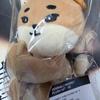 (sealed Denimals Magnet Plusle Set - Ke
