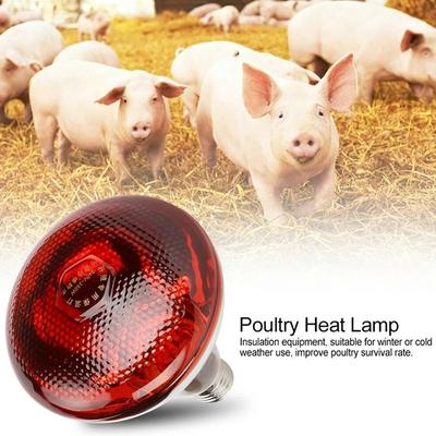 250W Poultry Infrared Heat Lamp Waterproof Explosion Proof Thickened Bulb Suitable for Piglets Chicken Duck Bird E27 Heat Lamp