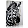 Zebra Portrait Metal Poster Tin Sign Wall Art Posters On the Wall Decorations Customizable Metal Signs for Home Decoration Decor