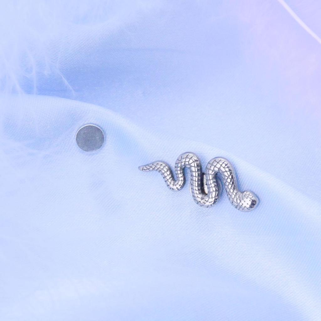 Trendy Snake-Shaped Stainless Steel Magnetic Ear Clip Earrings