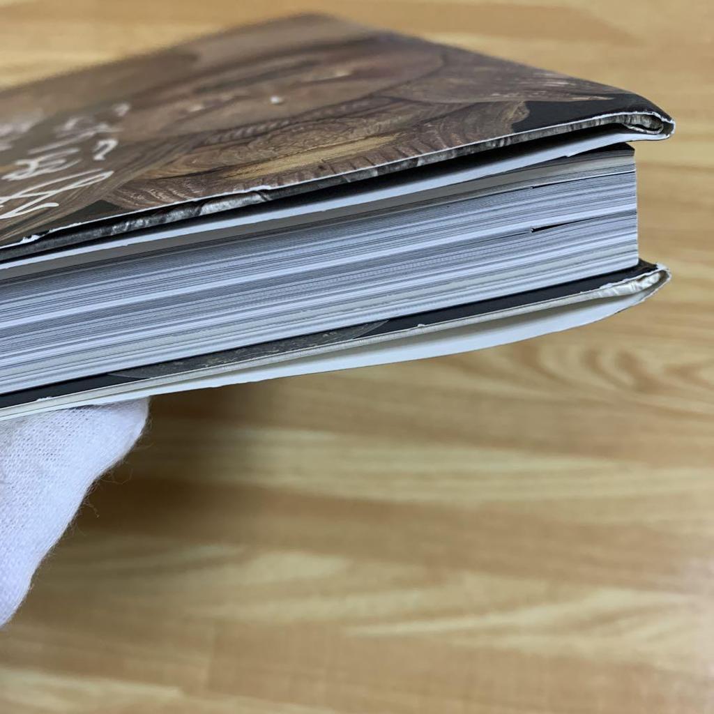 [USED] Special Exhibition Kyoto Daihoonji Temple Kaikei Sadakei Mihotoke Catalog