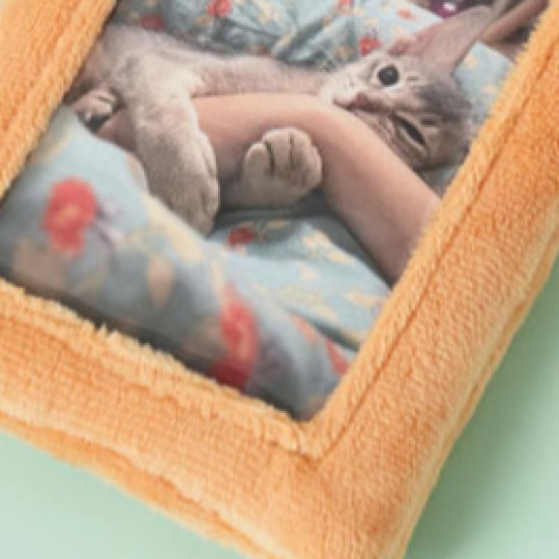 Daiso Soft Character Card Case