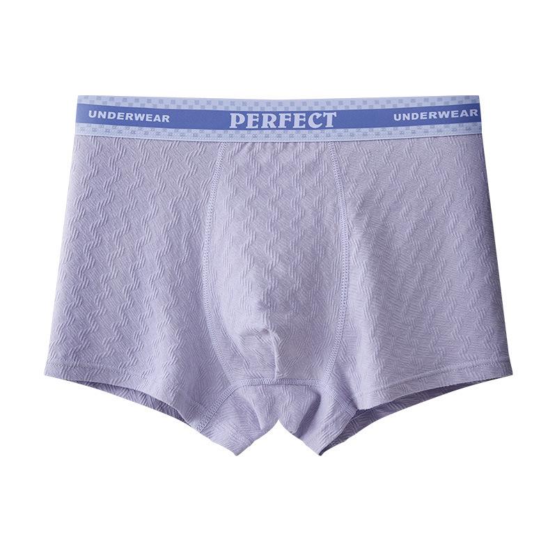 Teen Boys' Antibacterial Cotton Boxer Briefs (Ages 15-18)