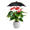Garden Plant Rainproof Umbrellas Sunshades Umbrellas for Potted Flowers and Succulents Decoration