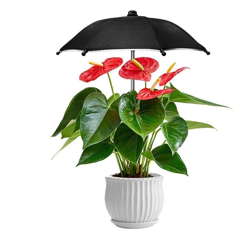 Garden Plant Rainproof Umbrellas Sunshades Umbrellas for Potted Flowers and Succulents Decoration