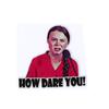 2ks 8*8cm How Dare You Greta Thunberg Vinyl Decal Samolepka Auto na okno