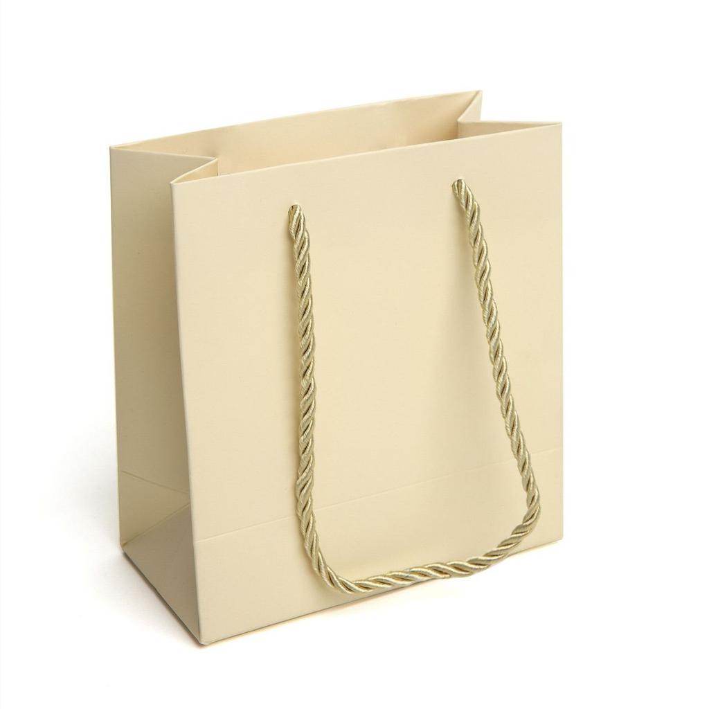 12/30pcs Gift Tote Paper Bags with Rope Handles for Jewelry Cosmetics Party Favors Valentine’s Day Packaging