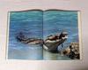 [USED] SNAKES, CROCODILES and LIZARDS Foreign Books Photo Collection