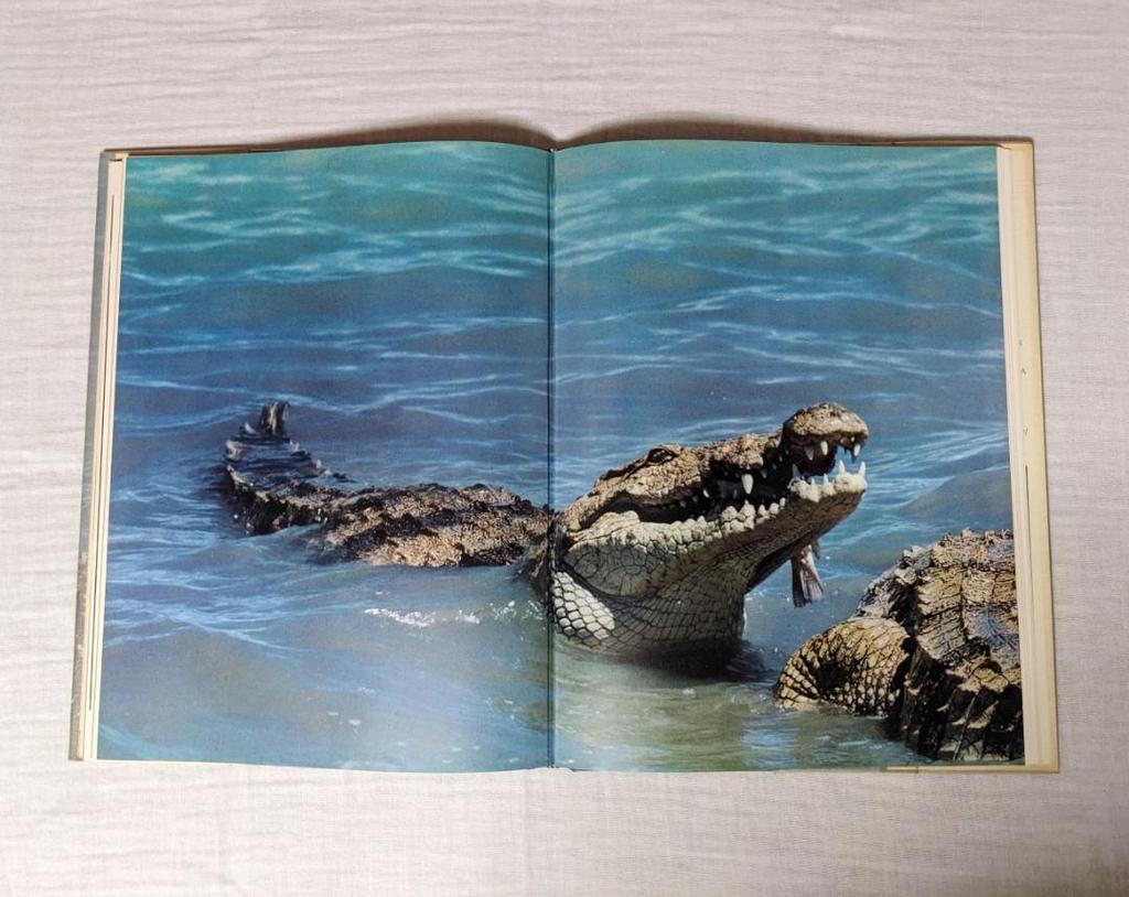[USED] SNAKES, CROCODILES and LIZARDS Foreign Books Photo Collection
