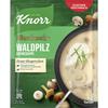 Knorr Gourmet Mushroom Cream Soup 48G