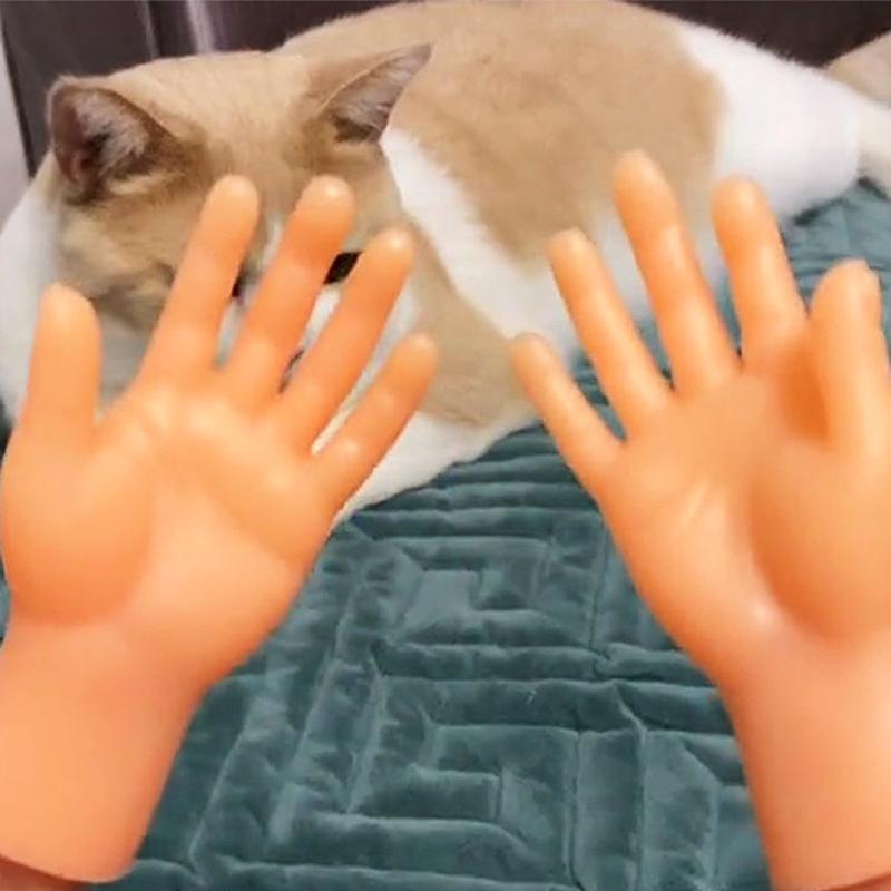 Katzenstreicheln Kleine Fingerlinge mit fünf offenen Fingern Mini-Kleine Finger mit vier Gesten zum Necken von Katzen Kreativ und lustig