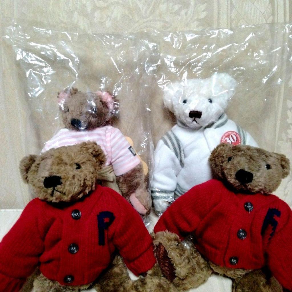 [USED] Regal Novelty Teddy Bear (Not for Sale)