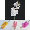 Artificial Phalaenopsis Orchid 3d Printed Realistic Multi Stem For Home Wedding Decor